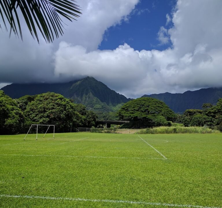 Soccer Field image 3