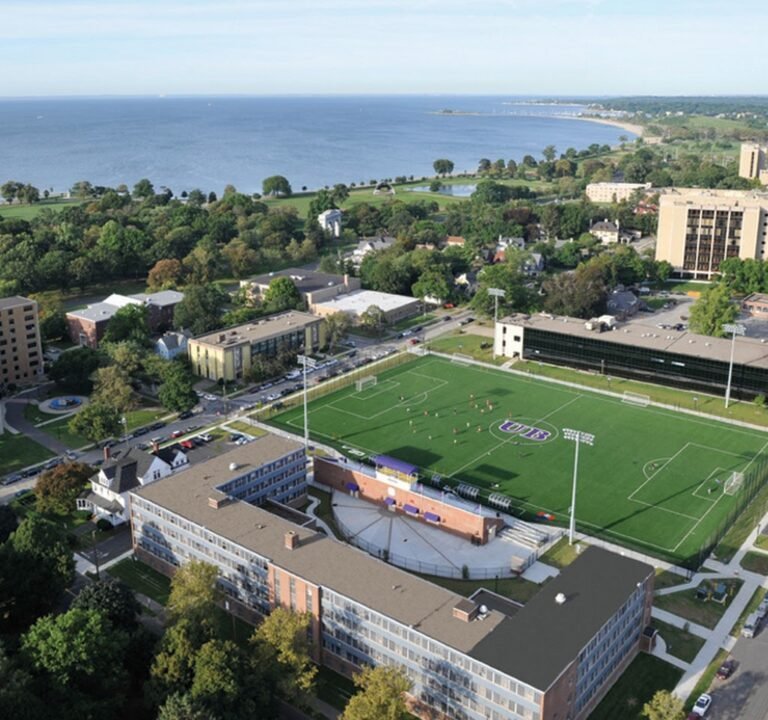 Soccer Field image 2