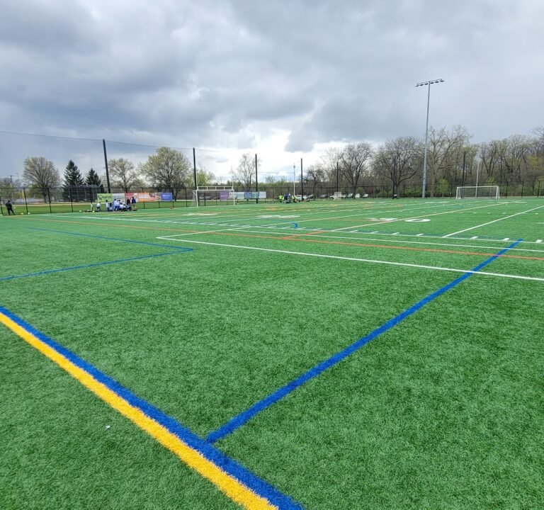 Soccer Field image 3