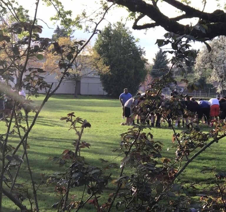 Soccer Field image 4