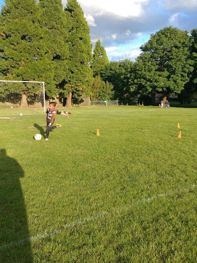 Soccer Field image 1