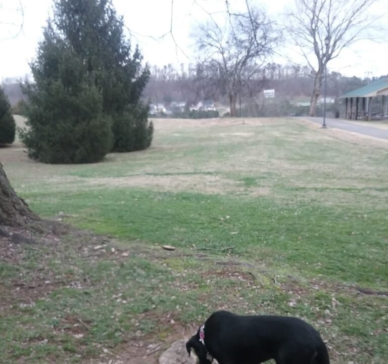 Soccer Field image 2