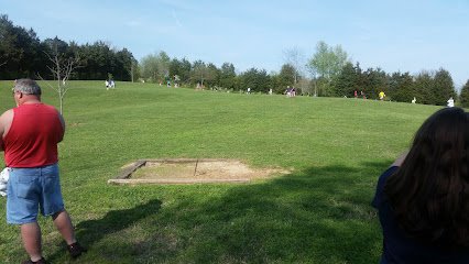 Soccer Field image 1