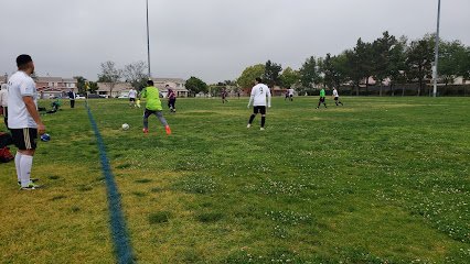 Soccer Field image 1