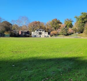 Soccer Field image 2
