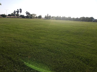 Soccer Field image 1