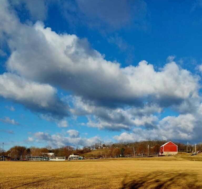 Soccer Field image 3