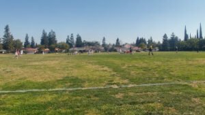 Soccer Field image 1