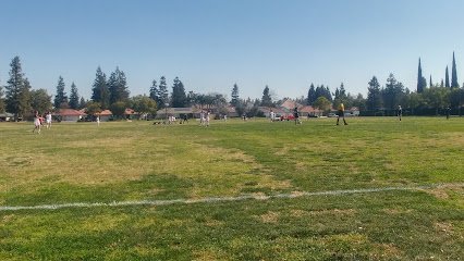 Soccer Field image 1