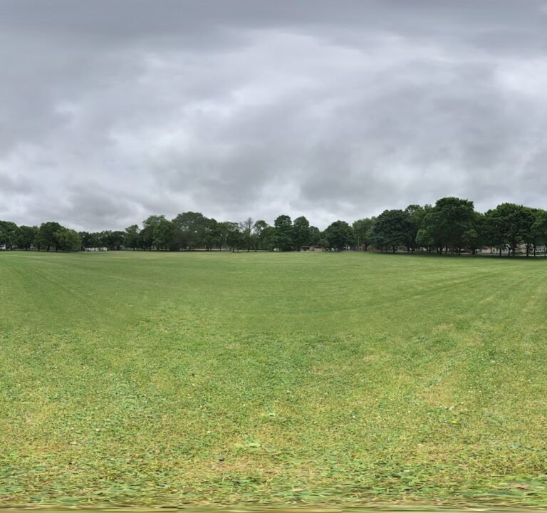 Soccer Field image 3