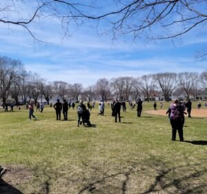 Soccer Field image 2