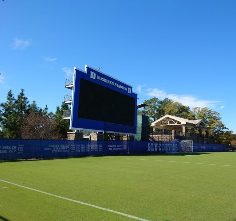 Soccer Field image 2