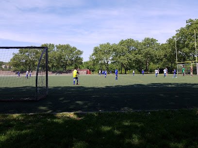 Soccer Field image 1