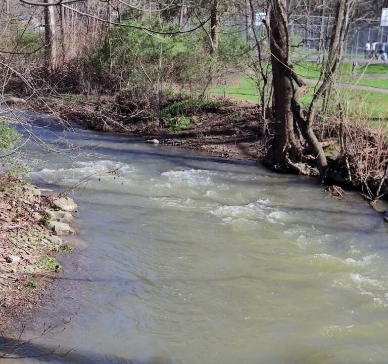Soccer Field image 4