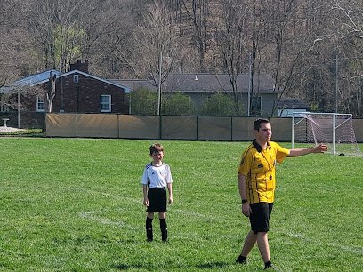 Soccer Field image 1