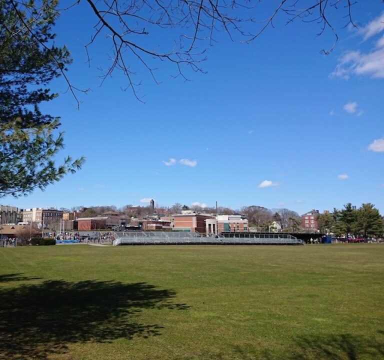 Soccer Field image 2