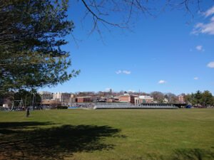 Soccer Field image 1
