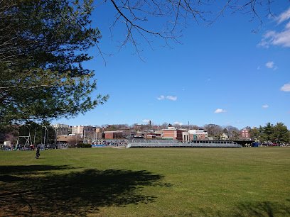Soccer Field image 1