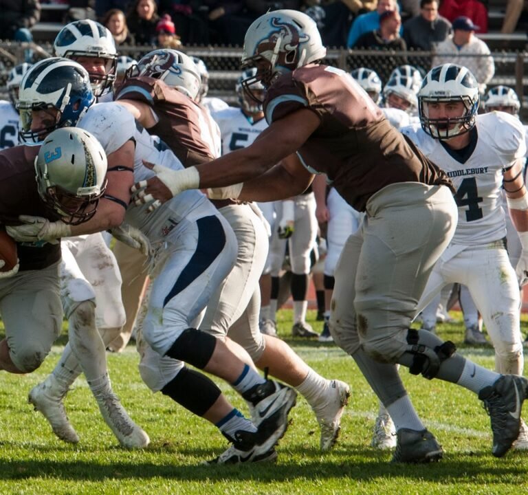 Soccer Field image 3