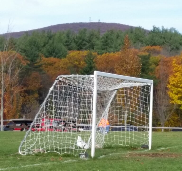 Soccer Field image 3