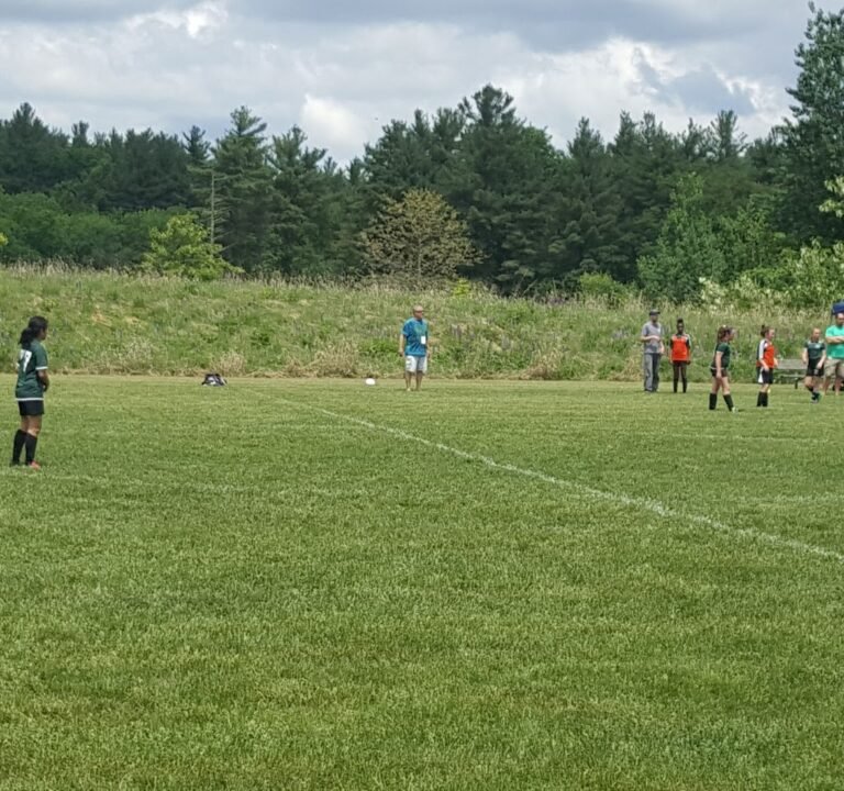 Soccer Field image 2