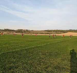 Soccer Field image 2