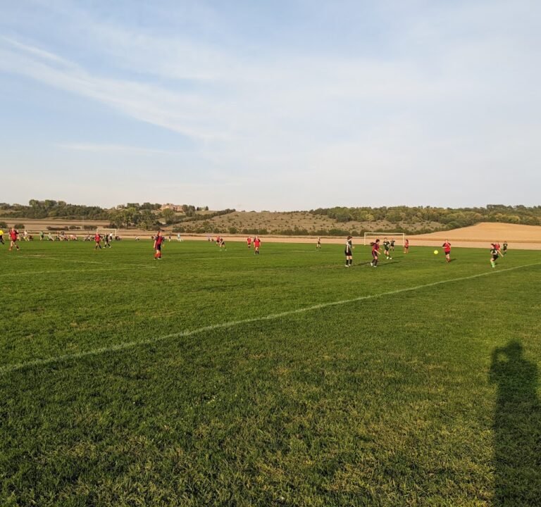 Soccer Field image 2