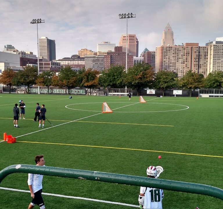 Soccer Field image 3