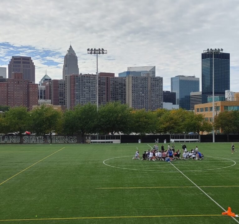 Soccer Field image 2