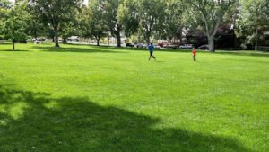 Soccer Field image 1