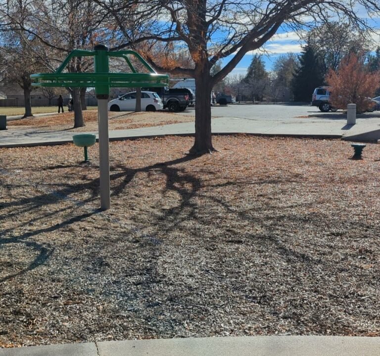 Soccer Field image 4