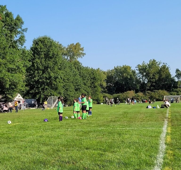 Soccer Field image 2