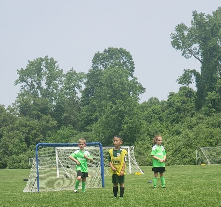 Soccer Field image 3