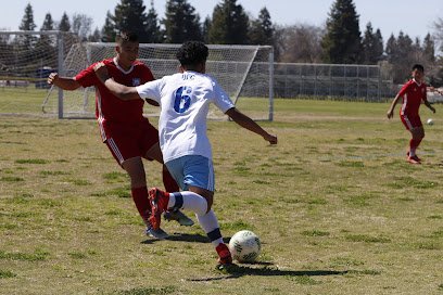 Soccer Field image 1