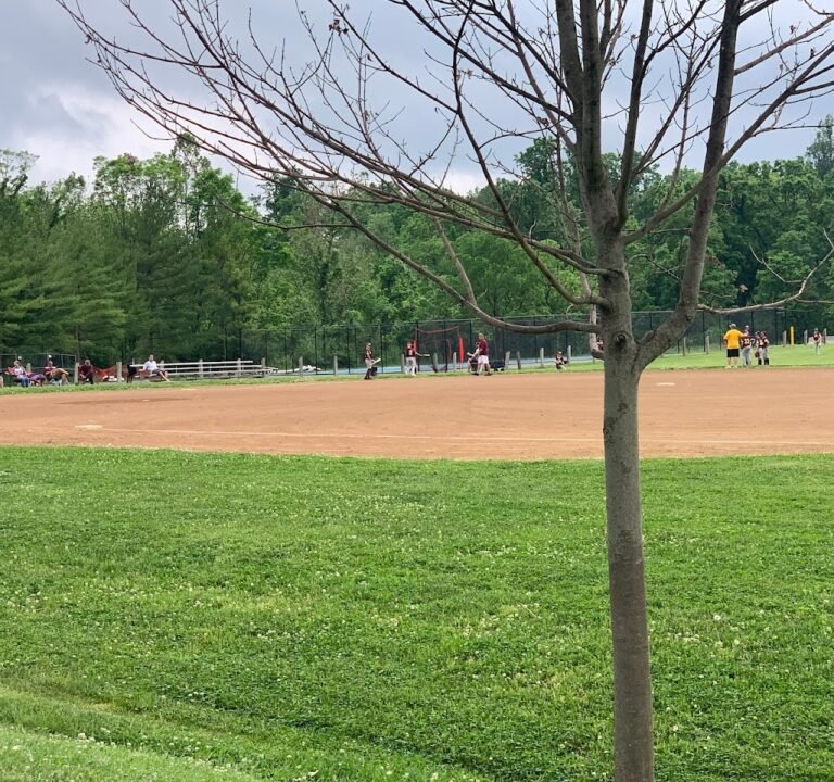 Soccer Field image 2