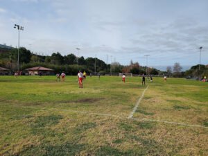 Soccer Field image 1