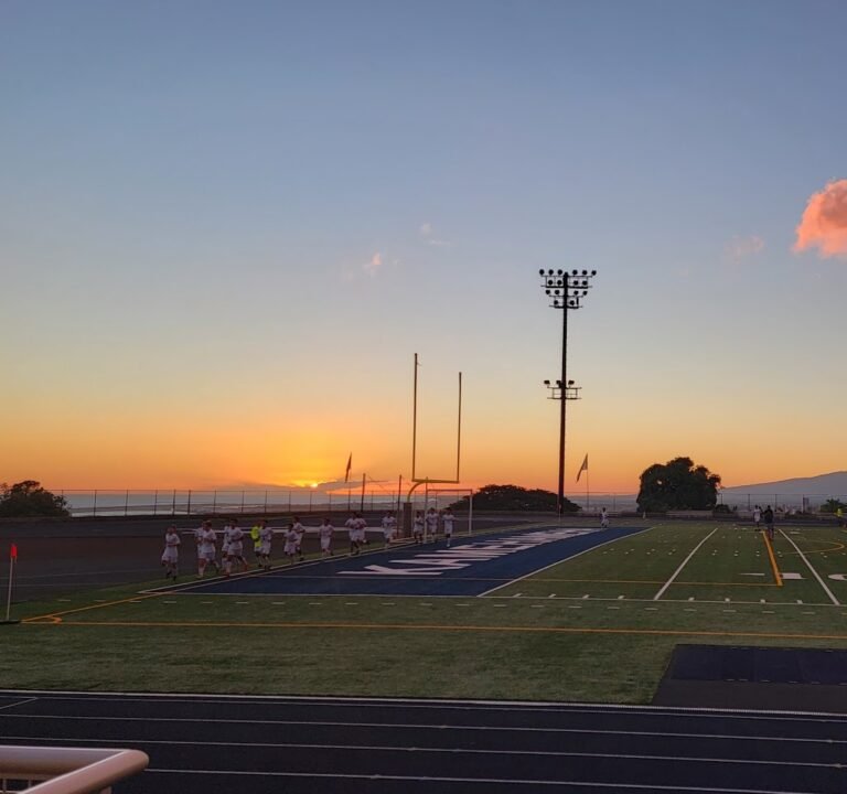 Soccer Field image 2