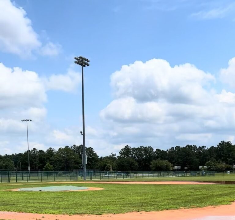 Soccer Field image 2
