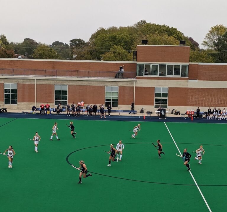 Soccer Field image 2