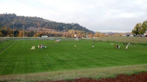 Soccer Field image 1
