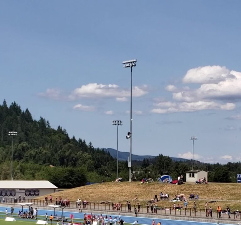 Soccer Field image 2