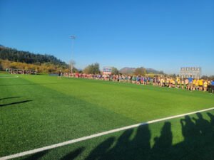 Soccer Field image 1