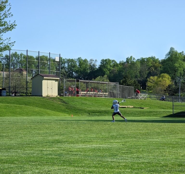 Soccer Field image 2