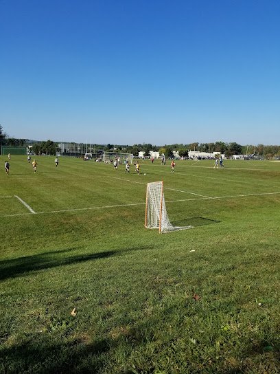 Soccer Field image 1