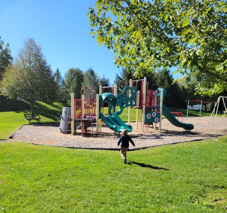 Soccer Field image 2