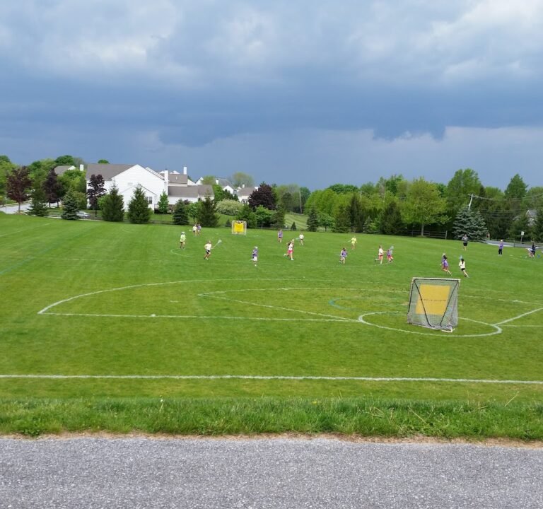 Soccer Field image 3