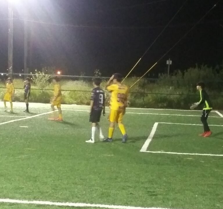 Soccer Field image 3