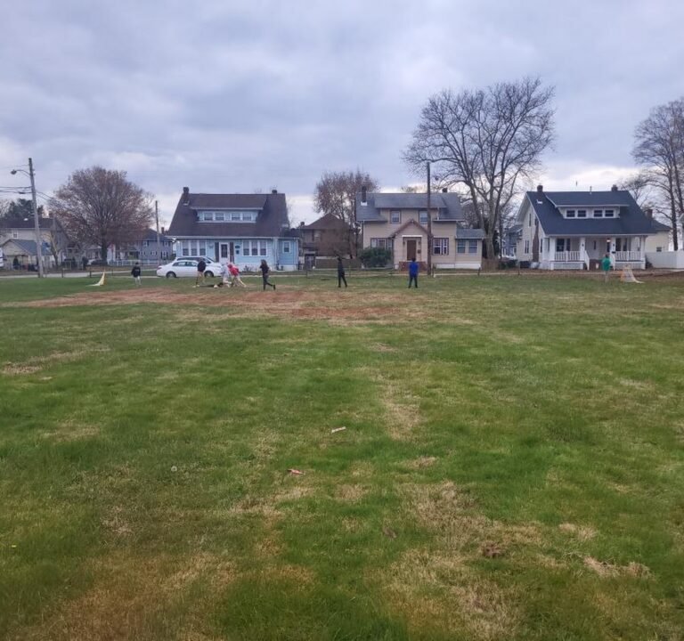 Soccer Field image 2