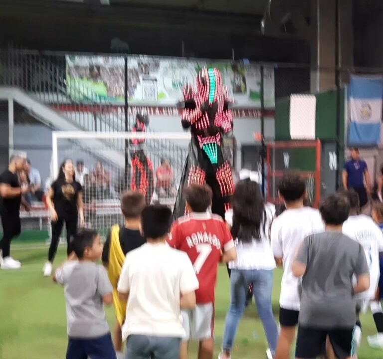 Soccer Field image 4