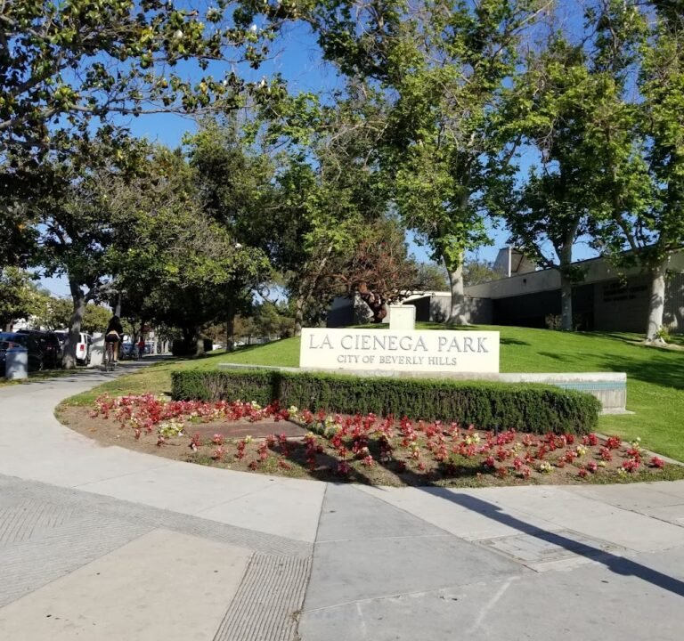 Soccer Field image 2